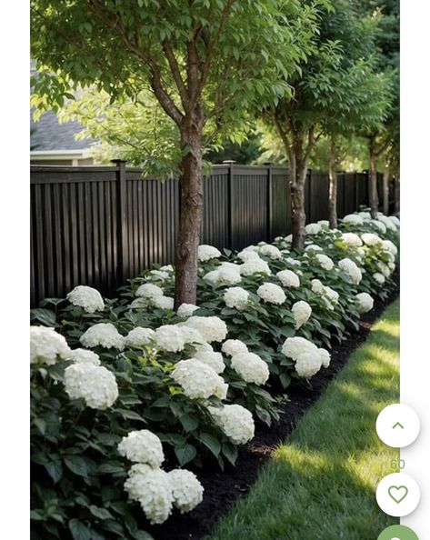 Sloped Fence Landscaping, Small Front Yard Landscaping Ideas Minimalist, Side Yard Garden Design, Front Yard Landscaping Small Area, Hydrangea Landscaping Along Fence, Hydrangeas Along Fence, Backyard Landscaping Wooded Area, Wooded Landscape Ideas, Hydrangea Along Fence