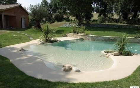 Beach Front Pool, Backyard Beach Ideas, Natural Looking Pools, Walk In Pool, Swimming Pool Home, Beach Entry Pool, Dream Backyard Pool, Natural Swimming Ponds, Backyard Beach