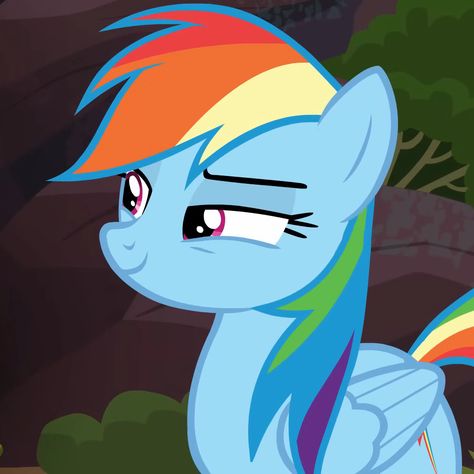 my little pony: fim s6e13 - stranger than fan fiction  | rainbow dash, my little pony, mlp icon pfp Rainbowdash Icon, Rainbow Widgets, Hear Me Outs, Rainbow Dash Pfp, My Little Pony Boys, Mlp Screenshots, Rainbow Dash Icon, Rainbow Dash Mlp, Rainbow Dash Equestria