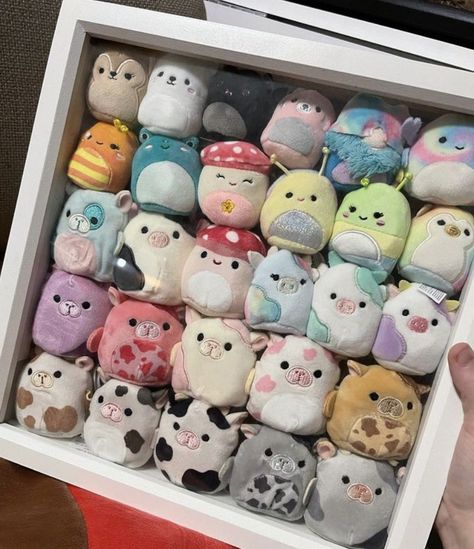 Squishmallow Iso List, Squishville Display Ideas, Spongebob Squishmallow, Tiny Squishmallows, Squishmallow Jibbitz, Squishville Display, Squish Ville, Squishmallows Display, Squishville Squishmallows