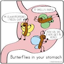 Sooooo...is that what they're thinking!!!  Lol. Stomach Bug Meme, Stomach Picture, Butterflies In Your Stomach, Brains Quote, Stomach Bug, Kids Feelings, Butterflies In My Stomach, Funny Feeling, Secret Crush