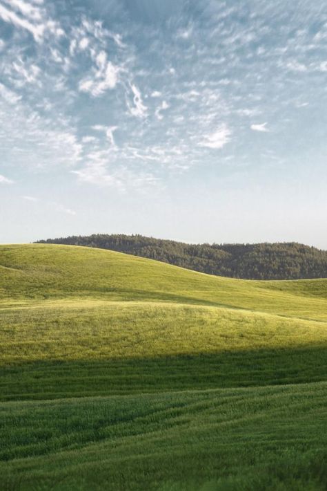 Nature background, green hills & blue sky | free image by rawpixel.com / Tong Background Hills, Hills Background, Sky Photoshop, Hills Landscape, Gacha Backgrounds, Creative Backdrops, Summer Field, Field Landscape, Canvas Background