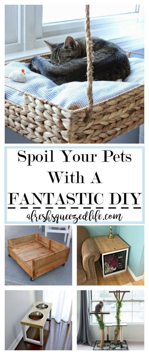 I have a dog and a cat and I love them! If you are a looking for a fun project to tackle, DIY projects for pets might be just the thing! SPOIL YOUR PETS WITH A FANTASTIC DIY #DogProyects Diy Jouet Pour Chat, Pet Diy Projects, Katt Diy, Katt Grejer, Kat Diy, Chat Diy, Dogs Diy Projects, Diy Cat Tree, Cat House Diy