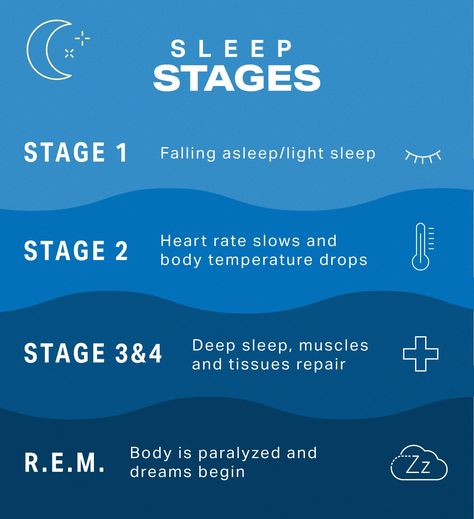 Understanding Sleep Cycles and How to Improve Sleep | MyFitnessPal How To Stop Snoring, Rem Sleep, Sleep Remedies, Sleep Health, Printable Checklist, Sleep Cycle, When You Sleep, Sleeping Positions, Circadian Rhythm