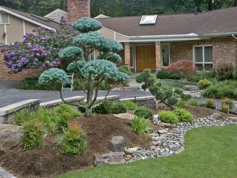 Small Front Yard Landscaping, Front Yard Design, Asian Garden, Front Yards, Front Landscaping, Japanese Landscape, Front Yard Landscaping Ideas, Yard Landscaping Ideas, Home Landscaping