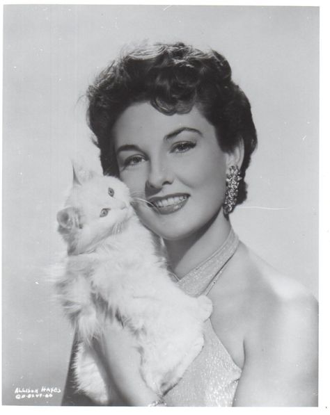 allison hayes Allison Hayes, Vintage Actresses, Persian Kittens, Drive In Theater, Great Cat, Cat People, Wolf Dog, B Movie, Persian Cat