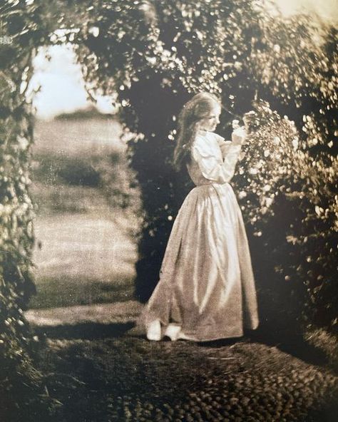 Maria Fernanda Candido on Instagram: "1867, The Gardener’s Daughter photo Julia Margaret Cameron" Julia Margaret Cameron Photography, Louis Daguerre, Julia Margaret Cameron, Julia Cameron, Famous Pictures, Martin Parr, Alfred Stieglitz, The Gardener, History Of Photography