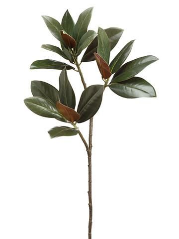 Dark Green and Brown Magnolia Leaf Spray Artificial Magnolia, Magnolia Leaf, Magnolia Branch, Magnolia Leaves, Silk Plants, Green Power, Fake Plants, Arte Floral, Flower Centerpieces