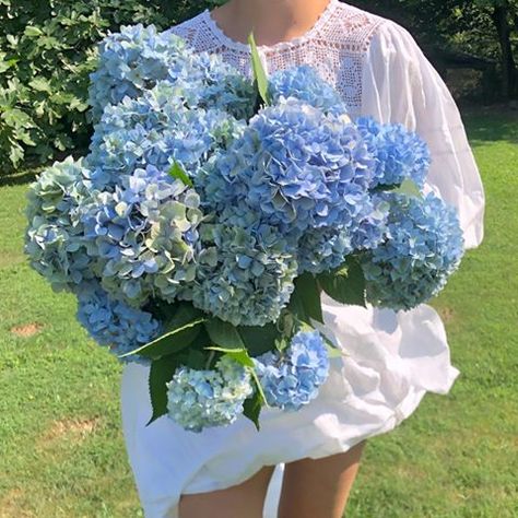 Lucia Zolea (@luciazolea) • Photos et vidéos Instagram Lucia Zolea, Hydrangea Season, Hydrangea Cottage, Summer In The Hamptons, Hamptons Aesthetic, Hamptons Beach House, Costal Granddaughter, East Coast Summer, New England Summer