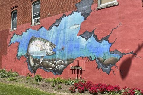 Which Finger Lakes Mural is Your Favorite | Things to Do Lake Mural, Seneca Lake, Sunflowers And Daisies, The Finger Lakes, Finger Lakes, Rainbow Trout, Lake Erie, Mural Painting, Historical Society