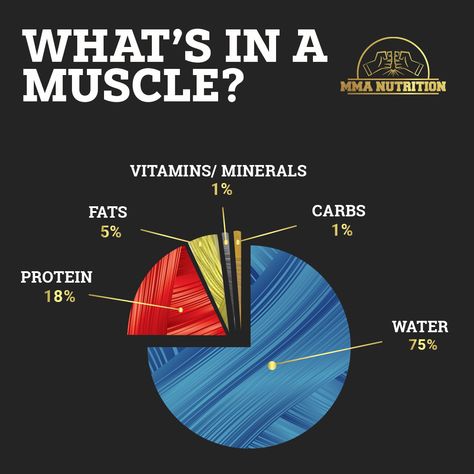 What’s in a muscle?! Knowing what they are actually made of is super important. 💪🏼 ⁠ ⁠⁠ Rounding out the rest we have vitamins, fats, minerals, and some carbs, which all play their own role in maintaining healthy muscle tissue.⁠ .⁠ .⁠ .⁠ #infographic #musclebuilding #thepump #knowyourbody #bodycomposition #nutrition #progress #hydrate #hydrateyourhealth #MMANUTRITION #HYDROLYTE⁠ Gym Graphics, Muscle Hypertrophy, Fitness Facts, Cardio Workouts, Funny Jokes In Hindi, Abs Workout Routines, Muscle Tissue, Body Composition, Jokes In Hindi