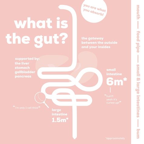 Gut Aesthetic, Infographic Graphic Design, Health Literacy, Event Id, Colon Health, Graphic Design Infographic, Learning Graphic Design, Health Design, Health Logo