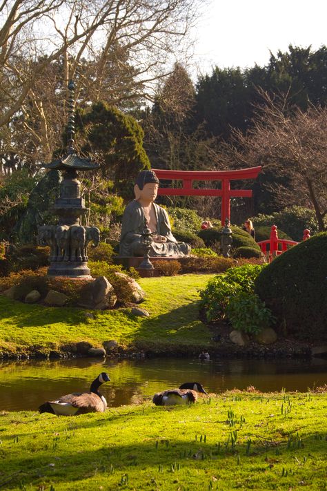 From Suizenji Park in Kumamoto to Kokyo Gaien, Kyosumi Garden and Kyu-Shiba-rikyu Garden in Tokyo, and passing by Hamamatsu Castle Park in Hamamatsu, the Stone Garden in Kyoto or even the Ritsurin Garden in Kagawa, Japan is full of the most beautiful gardens. Ritsurin Garden, Kagawa Japan, Japan Park, Adachi Museum Of Art, Japanese Park, Asian Nature, Kumano Kodo, Adachi Museum, Wisteria Garden