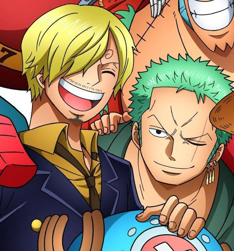 Zoro Sanji, Vinsmoke Sanji, Your Touch, Haikyuu Karasuno, One Piece Ship, Zoro One Piece, One Piece Funny, One Piece Comic, One Piece Drawing