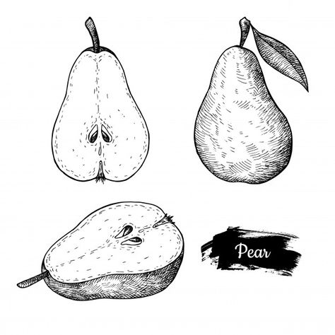 Sketch Fruit, Pear Drawing, Vegetable Drawing, Sketching Tips, Fruits Drawing, Pear Fruit, Doodle Tattoo, Food Illustration Art, Vector Food