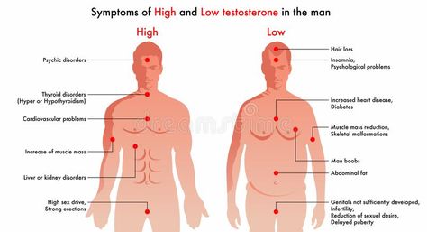 High and low testosterone symptoms. Vector diagram illustration indicating the m #Sponsored , #PAID, #paid, #testosterone, #illustration, #indicating, #symptoms Hormonal Imbalance Symptoms, Men Illustration, Diagram Illustration, Medical Symptoms, Testosterone Therapy, High Testosterone, Hormonal Imbalance, Hormone Replacement, Abdominal Fat