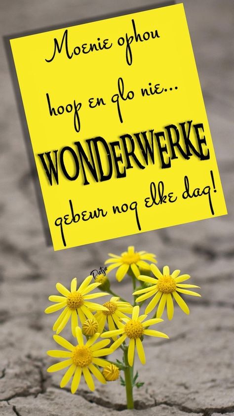 Geestelike Inspirasie Afrikaans, Positiewe Denke, Positiewe Gedagtes, Kombuis Idees, Trust God Quotes, Morning Christmas, African Quotes, Beautiful Good Night Quotes, Thankful Quotes