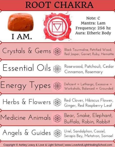 Essential Oils For Chakras, 7 Chakras Meaning, Red Chakra, Crystal Healing Chart, Chakra Health, Root Chakra Healing, Red Raspberry Leaf, Chakra Affirmations, Energy Healing Spirituality