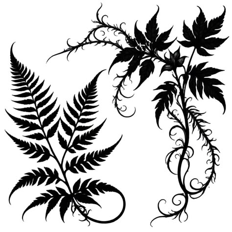 Black Fern Tattoo, Fern Tattoo Design, Fern Stencil, Symmetrical Tattoos, Tattoo Ornament, Symmetrical Tattoo, Fern Tattoo, Tattoo Nature, Stencil Tattoo