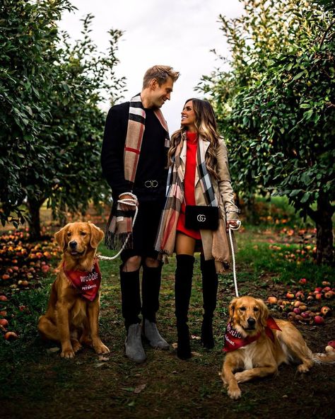 fashion blogger mia mia mine cute fall family photos at the apple orchard with her golden retrievers. for cute couple outfits, wear matching burberry scarves. #fallphotos #falloutfits #style Chanel Combat Boots, Maria Vizuete, Mia Mia Mine, Wear A Scarf, Vinyl Leggings, Mia Mia, Burgundy Boots, Christian Louboutin So Kate, How To Wear A Scarf