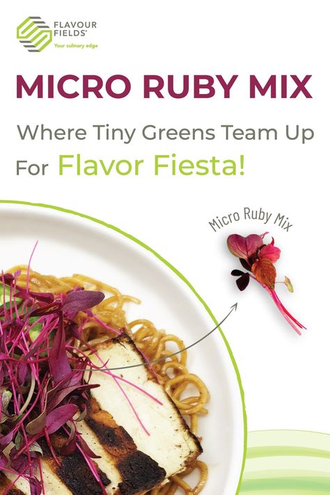 When it comes to microgreens, Micro Ruby Mix stands out as a flavorful masterpiece. This sensational blend consists of four remarkable varieties: Micro Bulls Blood, Micro Daikon Purple, Micro Amaranth Red, and Micro Shiso Purple. All 4 of them bring their unique characteristics and natures to the table. #microrubymix #redmicrogreens #flavourfields #microgreens #microbullsblood #microdaikonpurple #microamaranthred #microshisopurple #redshiso #microdaikon #redamaranth #healtyfood Red Veins, Amaranth, Food Reviews, Planting, The Table, Ruby, Purple, Red