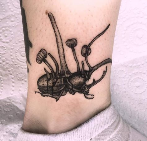 Cordyceps Tattoo, Mushroom Insect Tattoo, Weevil Tattoo, Millipede Tattoo, Hercules Beetle Tattoo, Bug Arm Tattoo, Fly Agaric Tattoo, Line Work Bug Tattoo, Fly Agaric Mushroom Tattoo