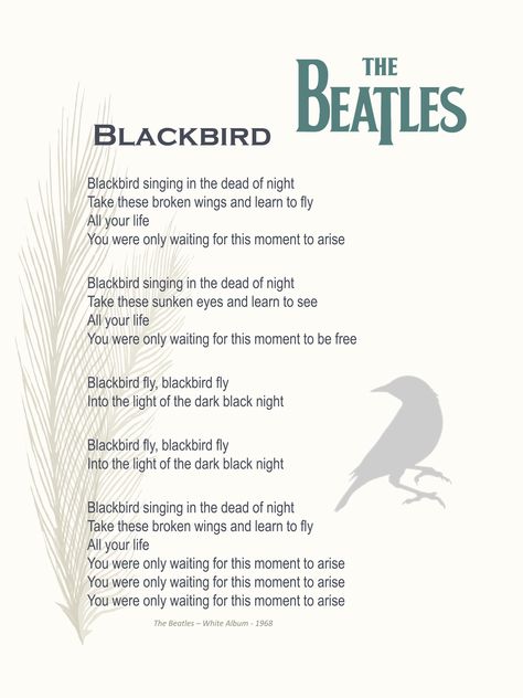 Blackbird Beatles, Let It Be Lyrics, Stevie Nicks Lyrics, Rock Music Lyrics, Beatles Song Lyrics, Beatles Quotes, Positive Songs, Beatles Lyrics, Hymns Lyrics