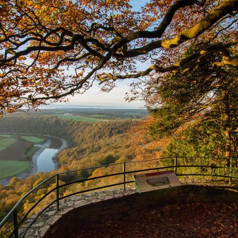 What's your favourite view spot around The Forest of Dean and Wye Valley? 👀  👇 Here are some great view spots you might not have heard of:    👉 Bradley Hill 👉 Westbury-on-Severn Garden Cliff 👉 Coppet Hill, near Goodrich 👉 The Eagle's Nest Viewpoint and Wyndcliffe 👉 Piercefield Walk and Viewpoints  Let us know of any other great viewing spots you know around our area, we'd love to check them out! ✨  #visitdeanwye #forestofdean #familyfun #gloucestershire #exploretheuk Wye Valley, Moving Abroad, Forest Of Dean, Walking Routes, Move Abroad, Cycling Touring, Valley View, Tourist Information, Beautiful Sights