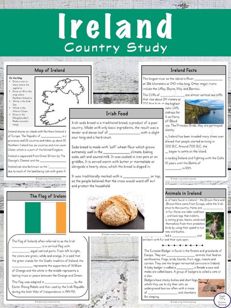 Ireland Culture Project, Ireland Worksheets Free Printable, Ireland Unit Study, World Thinking Day Ireland, Ireland Activities For Kids, Ireland Worksheet, Ireland Traditions, Ireland Activities, Ireland Facts