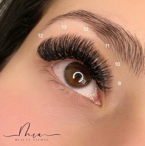 Baby Doll Lash Extensions, Baby Doll Eyelash Extensions, Doll Eyelash Extensions, Studio Lash, Baby Doll Eyes, Lash Map, Lash Tips, Eyes Lashes, Map Ideas