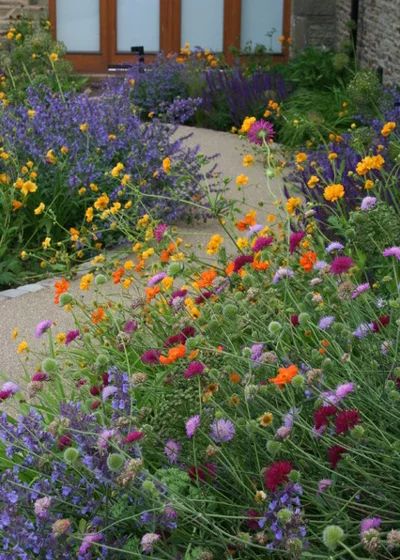 Small Front Yard, Meadow Garden, Front Yard Design, Farmhouse Landscaping, Front Landscaping, Farmhouse Garden, Wildflower Garden, Beautiful Flowers Garden, Front Yard Garden