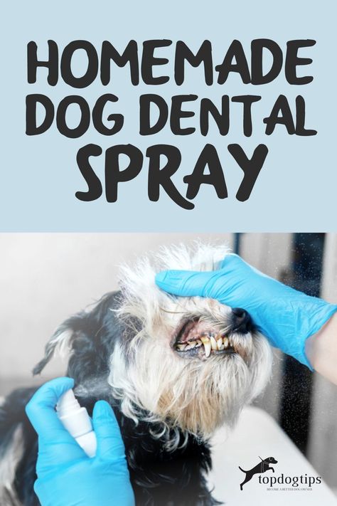 Dog Bad Breath Remedy, Dog Toothpaste Recipe, Dog Bad Breath, Dog Meds, Dog Bad, Bad Dog Breath, Toothpaste Recipe, Dog Food Homemade, Stinky Dog