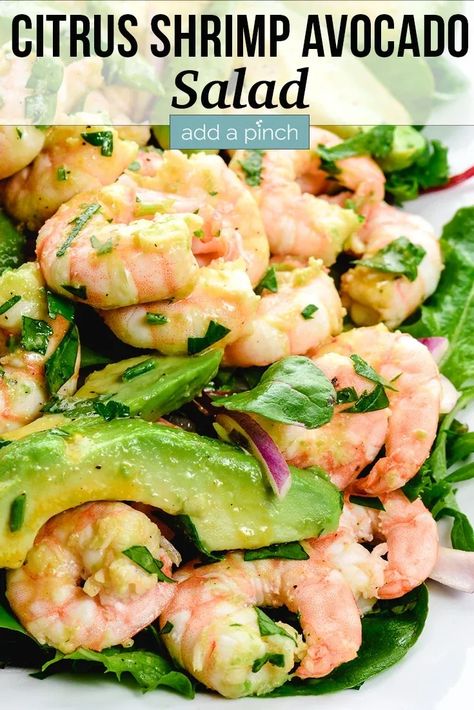 Citrus Shrimp Avocado Salad made with citrus seared shrimp, creamy avocado, and mixed greens topped with a quick citrus vinaigrette dressing! //addapinch.com #citrusshrimpavocadosalad #shrimp #citrusshrimpsalad #salad #addapinch Citrus Vinaigrette Dressing, Prawn And Avocado Salad, Shrimp Avocado Salad Recipe, Citrus Shrimp, Seared Shrimp, Sea Food Salad Recipes, Shrimp Avocado Salad, Prawn Salad, Shrimp Salad Recipes