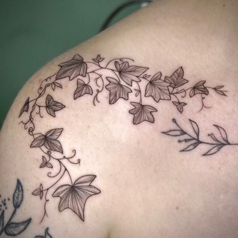 Ivy branch for the dearest Jen ♥︎ was a pleasure having you gal! ✷ swipe left to check all the details. — for booking and inquiries: DM or email hamylalitha@gmail.com #collarbonetattoo #tattooartist #dublin #dublintattoo #ireland Ivy Tattoo, Collar Bone Tattoo, The Details, Dublin, Tattoo Artists, Ivy, Tattoos, Quick Saves