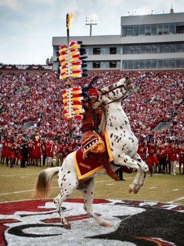 Florida State University - Renegade and Chief Osceola on the Field Photo by Ross Obley at AllPosters.com Florida State Seminoles Football, Florida State Football, Seminoles Football, Fsu Football, Wine Blog, Fsu Seminoles, Colleges In Florida, Florida Girl, Florida State University