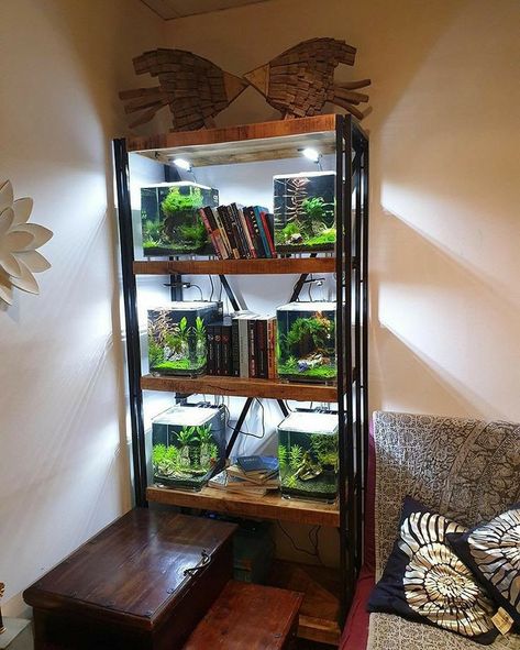 Aquarium Inspiration, Fish Tank Themes, Aquarium Stands, Fish Tank Terrarium, Cool Fish Tanks, Fish Tank Design, Betta Aquarium, Reptile Room, Aquarium Terrarium