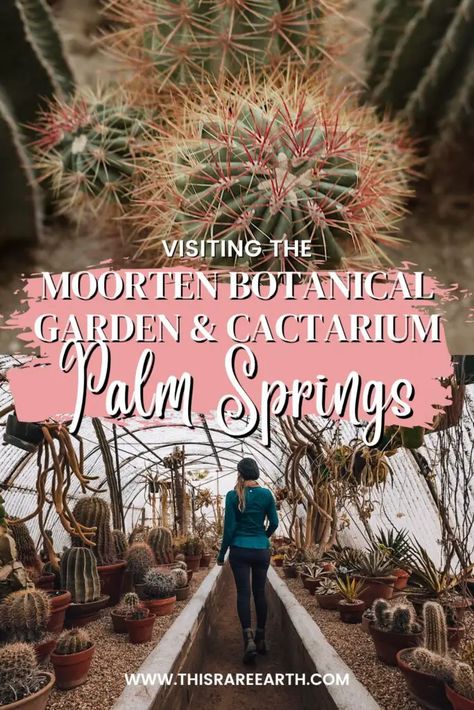 Moorten Botanical Garden and Cactarium in Palm Springs (2023) - This Rare Earth Moorten Botanical Garden, Vintage Palm Springs Aesthetic, Palm Springs Shopping, Vintage Palm Springs, Palm Springs Aesthetic, Marriage Retreats, Moms Birthday, California Desert, Road Trip Destinations