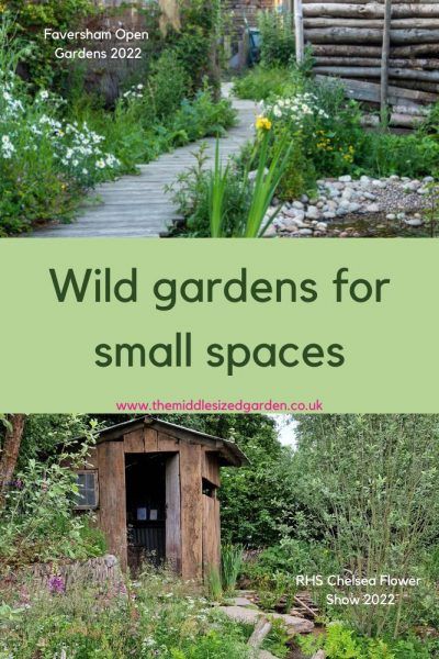 Wild gardens for small spaces Wild Garden Ideas Landscaping, Modern Wild Garden, Backyard Habitat Ideas, Small Sustainable Garden, Small Naturalistic Garden, Small Back Gardens Uk, Natural Wild Garden, Small Garden Layout Design, Small Wild Garden