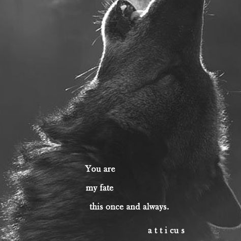 'Fate' 3/6 #atticuspoetry #atticus #poetry #poem #quote #words #fate #love #forever #wild #dream thank u @wilderpoetry Wolf Quotes Aesthetic, Werewolf Quotes, Wolf Poem, Aesthetic Wolf, Atticus Poems, Mate Quotes, Love Her Wild, Lone Wolf Quotes, Atticus Poetry