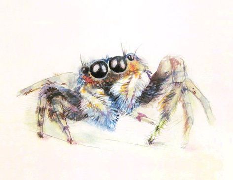 drawing of cuteness Adam Tattoo, 3d Spider, Spider Drawing, Jumping Spiders, Real Spiders, Pencil Inspiration, Complex Art, Art Tutorials Watercolor, Spider Tattoo