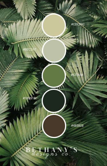 A variety of beautifully displayed from Greens, to Browns to Greys, taken from a Deep Dark Leafy background. Created by Bethany's Designs Co. Green Colour Palette, Leaf Green, Bedroom Green, Colour Combination, Colour Palettes, Monstera Leaf, Graphic Designs, Color Pallets, Pantone Color