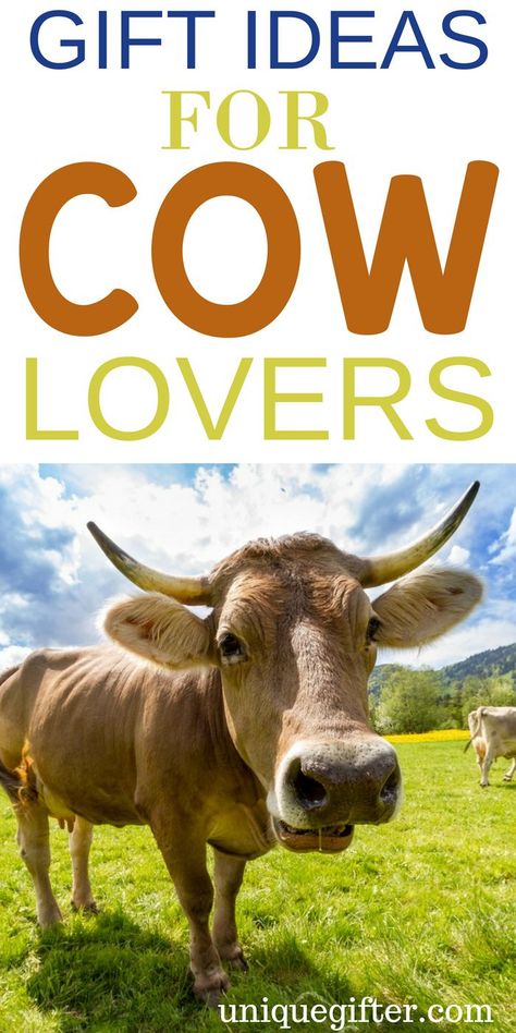 What to Buy Someone Who Loves Cows | Cows  Lovers | Creative Gifts For Cow Lovers | Special Presents for Someone Who Loves Cows | Unique Gifts For Cow Lovers | #Cows #animallover #gifts Cow Crafts For Adults, Adult Gift Ideas, Cow Puns, Special Presents, Cow Craft, Cow Ears, Cow Gifts, Mason Jar Gifts, Curious Cat