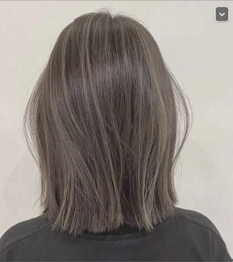 Ash Brown Bob Hair, Short Ash Brown Hair, Ash Brown Bob, Brown Hair Short Bob, Back To School Braids, Medium Ash Blonde Hair, Medium Ash Brown Hair, Ladies Short Hair, Ashy Brown Hair