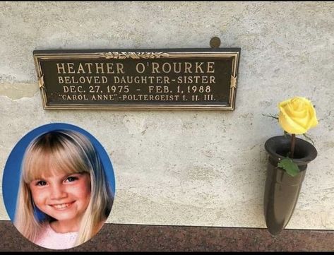 Celebrity Graves, Famous Gravesites, Heather O'rourke, Famous Tombstones, Celebrities Who Died, Cemetery Monuments, Famous Graves, Resting Place, Grave Marker