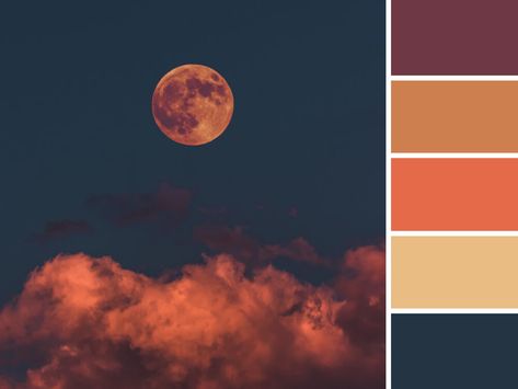 Harvest Moon Color Palette, Spooky Color Scheme, Spooky Color Pallete, Halloween Pallete Color, Spooky Colour Palette, Halloween Color Pallet, Scary Color Palette, Color Palette Halloween, Cosmic Color Palette