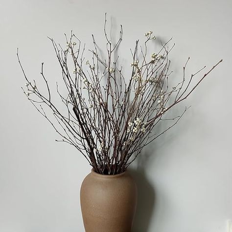 Amazon.com: GHY Decor 23 Inch Birch Branches 100% Natural Dried Birch Twigs Tallow Berries for Vases Centerpieces DIY Crafts Birch Sticks Decorating : Home & Kitchen Vase Centerpieces Diy, Curly Willow Branches, Decorative Branches, Vases Centerpieces, Branch Centerpieces, Vase With Branches, Centerpieces Diy, Curly Willow, Wedding Home Decor