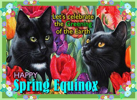 Spring Equinox Art Illustrations, Spring Equinox Poem, Spring Equinox Celebration, Spring Equinox Crystals, Spring Equinox Yoga Quotes, Equinox Celebration, Spring Equinox Tarot, March Equinox, Vernal Equinox