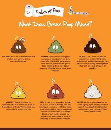 What Does Green Poop Mean? [Infographic] Baby Poop Chart, Hydrating Foods, Black Food Coloring, Health Chart, Nclex Study, Bathroom Tips, Bowel Movement, Dark Leafy Greens, Color Meanings