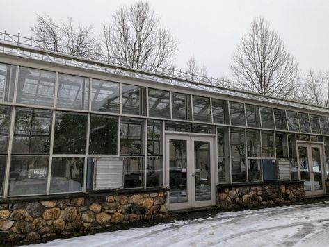 A Look Inside My Vegetable Greenhouse - The Martha Stewart Blog Alitex Greenhouse, Martha Stewart Greenhouse, Rocket Mass Heater Greenhouse, Greenhouse In Michigan, Types Of Kale, Reclaimed Glass Greenhouse, Radish Greens, Succession Planting, Martha Stewart Living