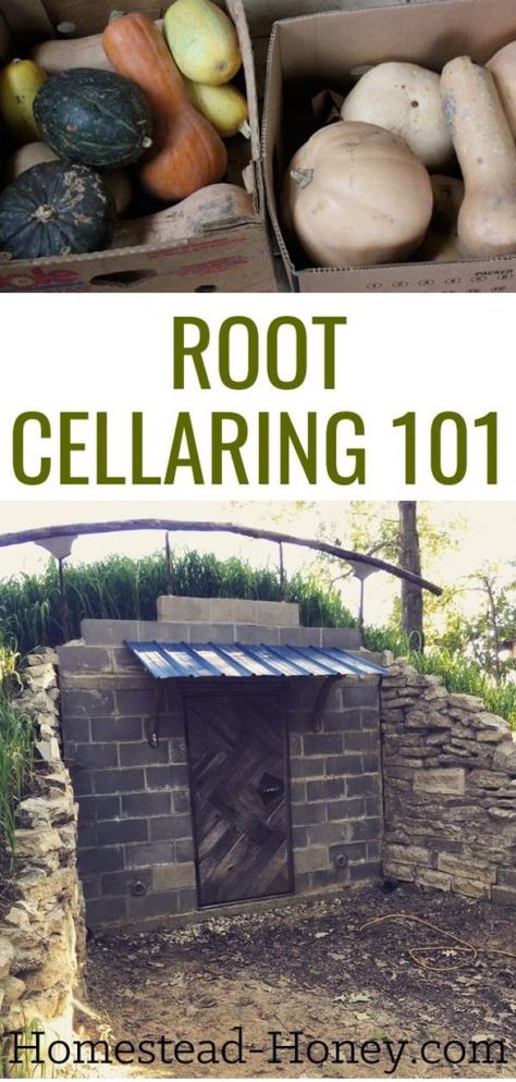 Root Cellar Plans, Root Cellar Storage, Root Cellars, Backyard Homestead, Homestead Gardening, Preserving Foods, Homesteading Diy, Root Cellar, Storm Shelter